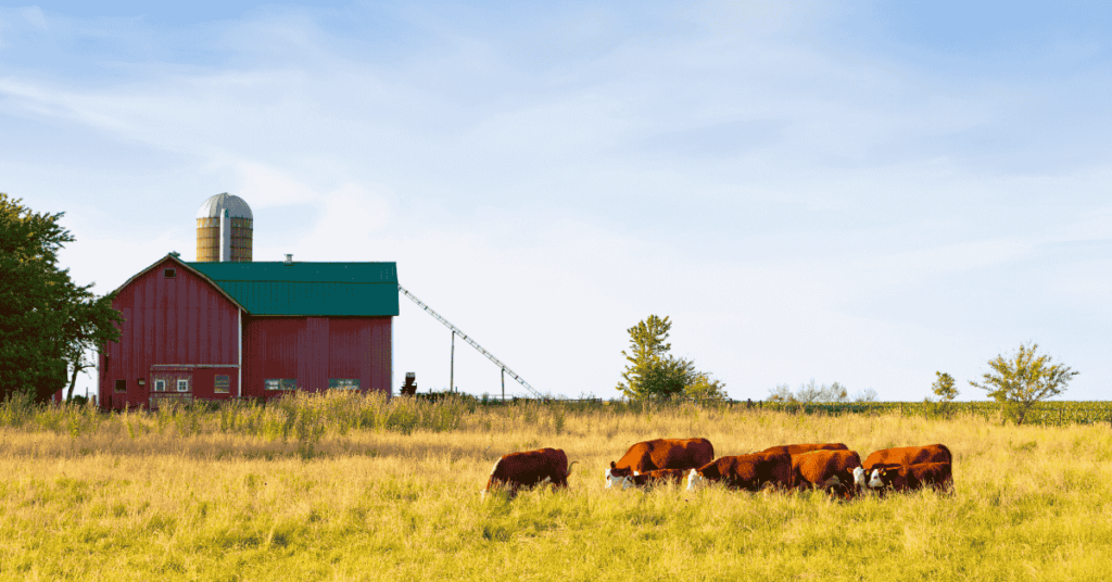 Farm Animals Coloring Book for Free